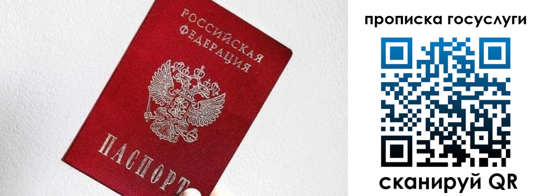 прописка законно в Сосенском